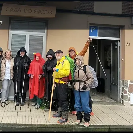 Casa Do Gallo