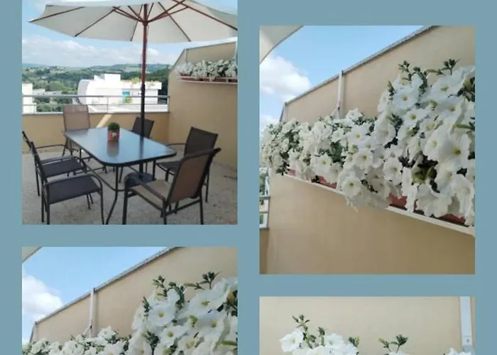 Casa Do Gallo 萨里亚